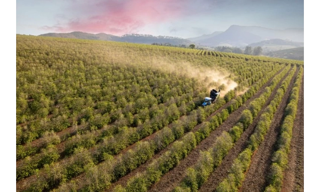 Dia mundial do café: São Paulo é destaque com rota turística e novas pesquisas