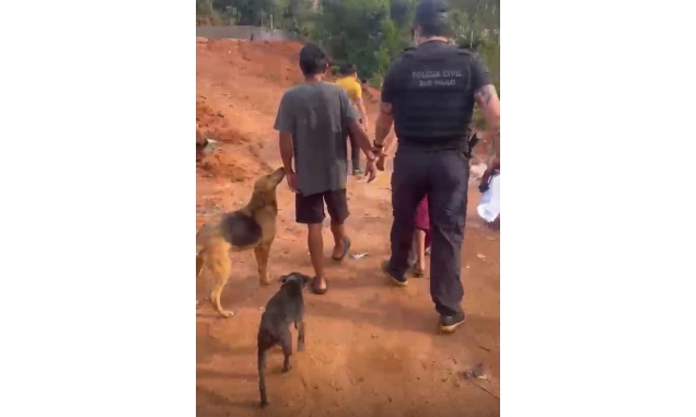 *Polícia Civil prende padrasto suspeito de estuprar enteada de 13 anos em Tapiraí*