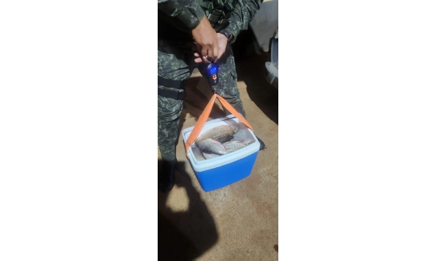 Polícia Militar Ambiental apreende mais de 26 kg de peixes e redes proibidas em Cerquilho