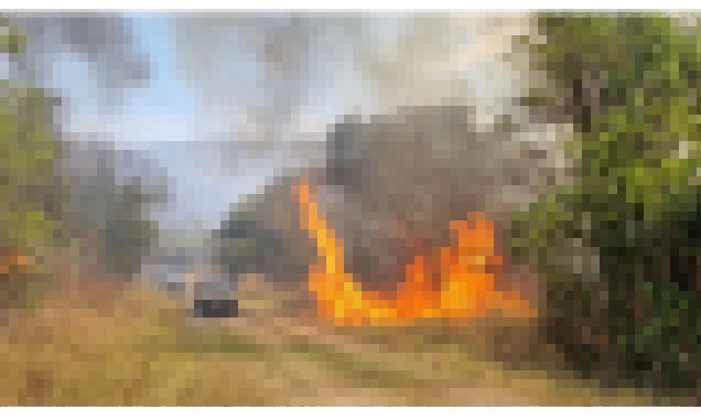 Há três dias, a Floresta Nacional de Ipanema sofre com um incêndio devastador