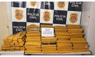 Polícia Civil prende homem com mais de 300 tijolos de maconha escondidos em carga de alho na Castello Branco