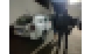 Polícia Militar recupera em Iperó moto roubada em Cerquilho