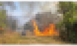 Há três dias, a Floresta Nacional de Ipanema sofre com um incêndio devastador