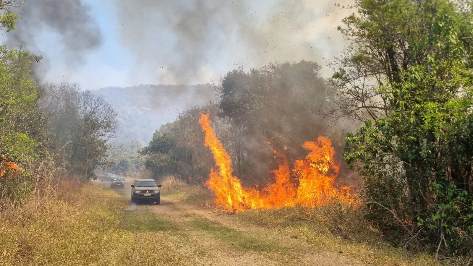 Há três dias, a Floresta Nacional de Ipanema sofre com um incêndio devastador